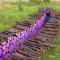 Landscape-art-by-michael-mcgillis-s