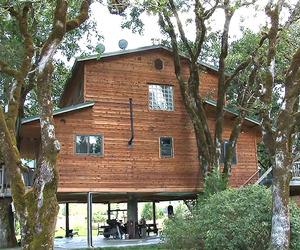 Largest Treehouse in the World by Michael Garnier