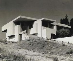 Larry Bought A House: The Mcalmon Residence