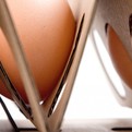 Light-and-sturdy-unique-egg-carton-s