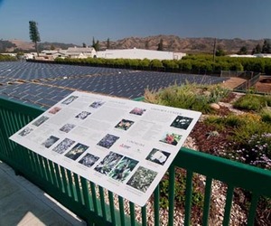 Limoneira Solar Project