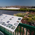 Limoneira-solar-project-s