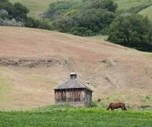 Little-farm-building-in-marin-county-m