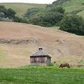 Little-farm-building-in-marin-county-s