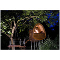 Living-in-a-walnut-s