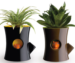 Log-and-squirrel-plant-pot-wins-at-tiff-2011-m