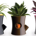 Log-and-squirrel-plant-pot-wins-at-tiff-2011-s