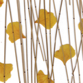 Lumicor-resin-panels-s