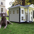 Luxury-barkitecture-10-amazing-elaborate-dog-houses-s