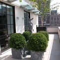 Luxury-penthouse-apartment-in-new-york-s