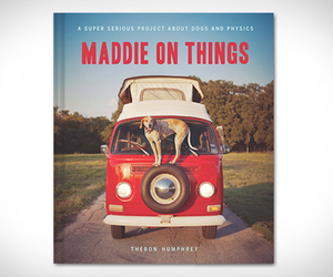 Maddie-on-things-m