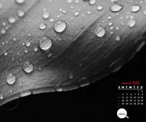 March-monthly-calendar-by-cafelab-is-out-m