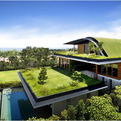Meera-house-by-guz-architects-s
