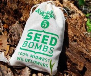 Midwest-wildflower-seed-bombs-m