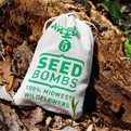 Midwest-wildflower-seed-bombs-s