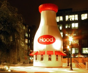 Milk-bottle-buildings-m