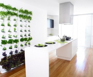 Mini-vertical-garden-for-your-kitchen-patio-or-balcony-m