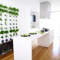 Mini-vertical-garden-for-your-kitchen-patio-or-balcony-s