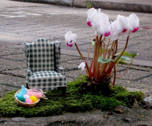 Miniature-gardening-by-the-pothole-gardener-m
