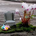 Miniature-gardening-by-the-pothole-gardener-s