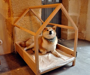 Minimal-wood-dog-bed-design-m