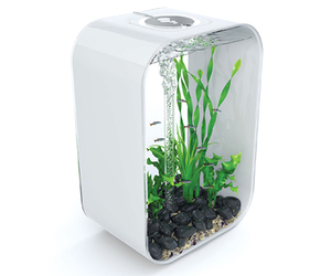 Minimalist-aquariums-by-biorb-m
