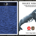 Moby-dick-the-card-game-s