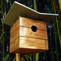Modern-birdhouses-s