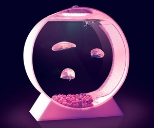 Modern Desktop Jellyfish Tank