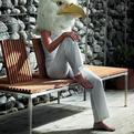 Modern-garden-bench-s