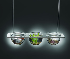 Mono-suspended-glass-bowl-displays-m