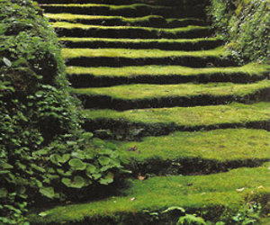 Moss Acres