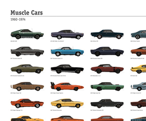 Muscle Cars