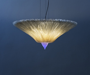 Mushroom-by-christopher-moulder-m