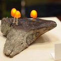 Mushroom-lamp-by-chillichilly-s