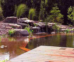 Natural-swimming-pools-by-total-habitat-m