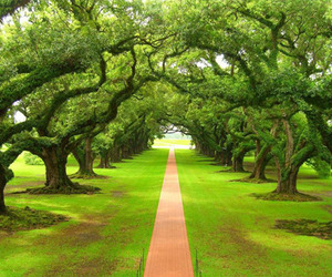 Nature-and-design-m