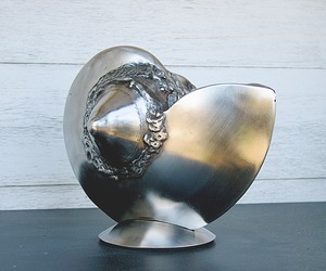 Nautiloid-m