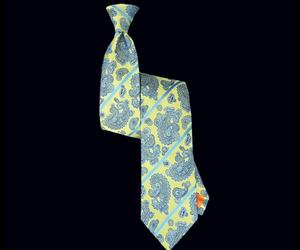 Nautilus-lemon-paisley-striped-tie-m