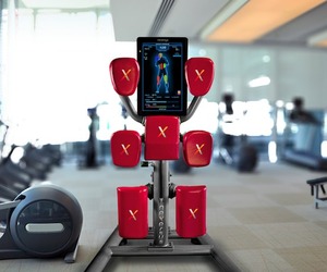 Nexersys-boxing-unit-2-m