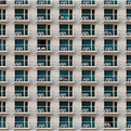 Niv-rozenberg-photographic-patterns-s