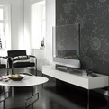 Now-a-transparent-television-2-s