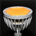 Nyt-industry-looks-to-led-bulbs-for-the-home-s