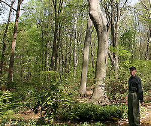 NYT: Moss Makes a Lush, No-Care Lawn 