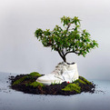 Oat-zero-footprint-plantable-sneakers-s
