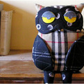 Odelia-lavie-owls-s