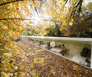 Office-in-the-woods-m