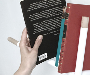 Ok-shelve-m