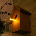 Oooms-solar-birdhouse-s