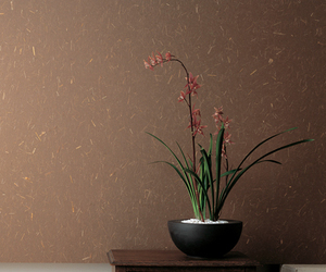 Organic-a-wall-wallpapers-from-awagami-factory-japan-m